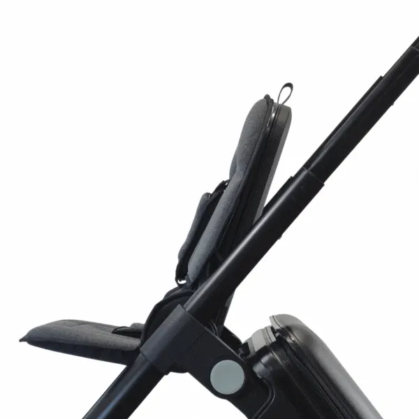Carry On Luggage Stroller