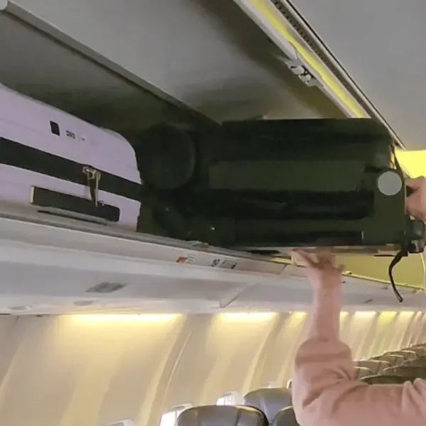 Carry On Luggage Stroller