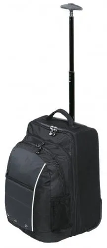 Phoenix Transit Bag
