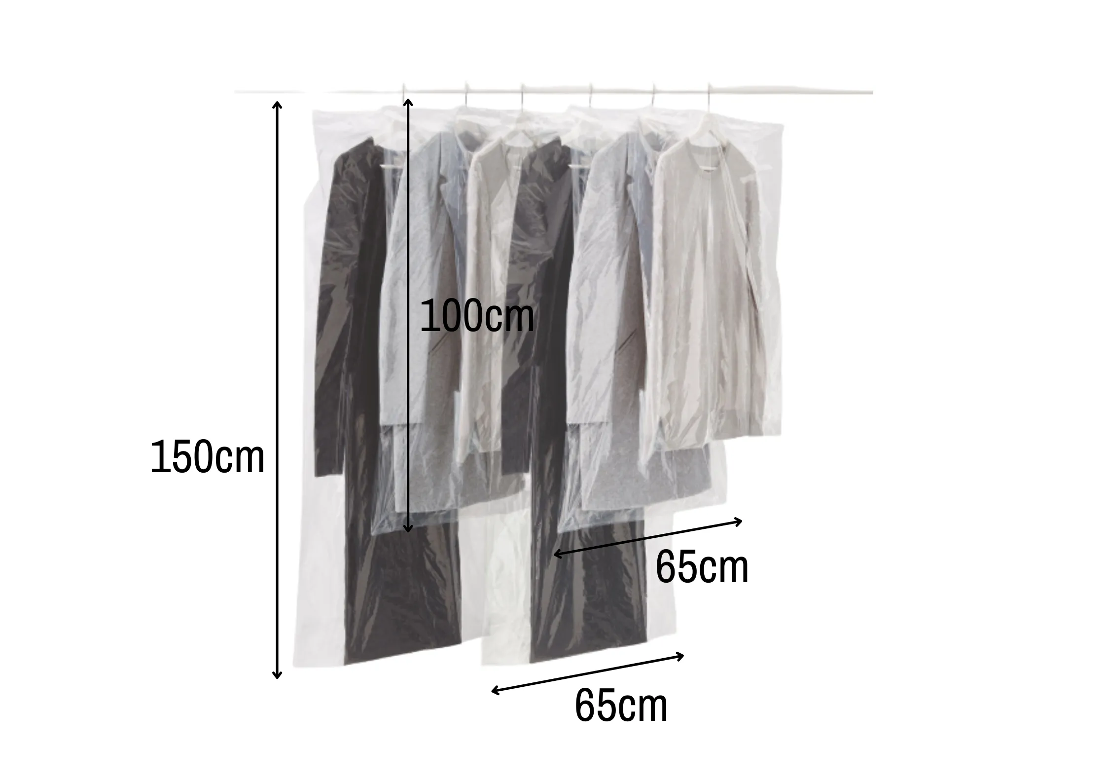R6048.01 Rayen Anti-Moth Clothing Storage Bags (6-Piece Pack)